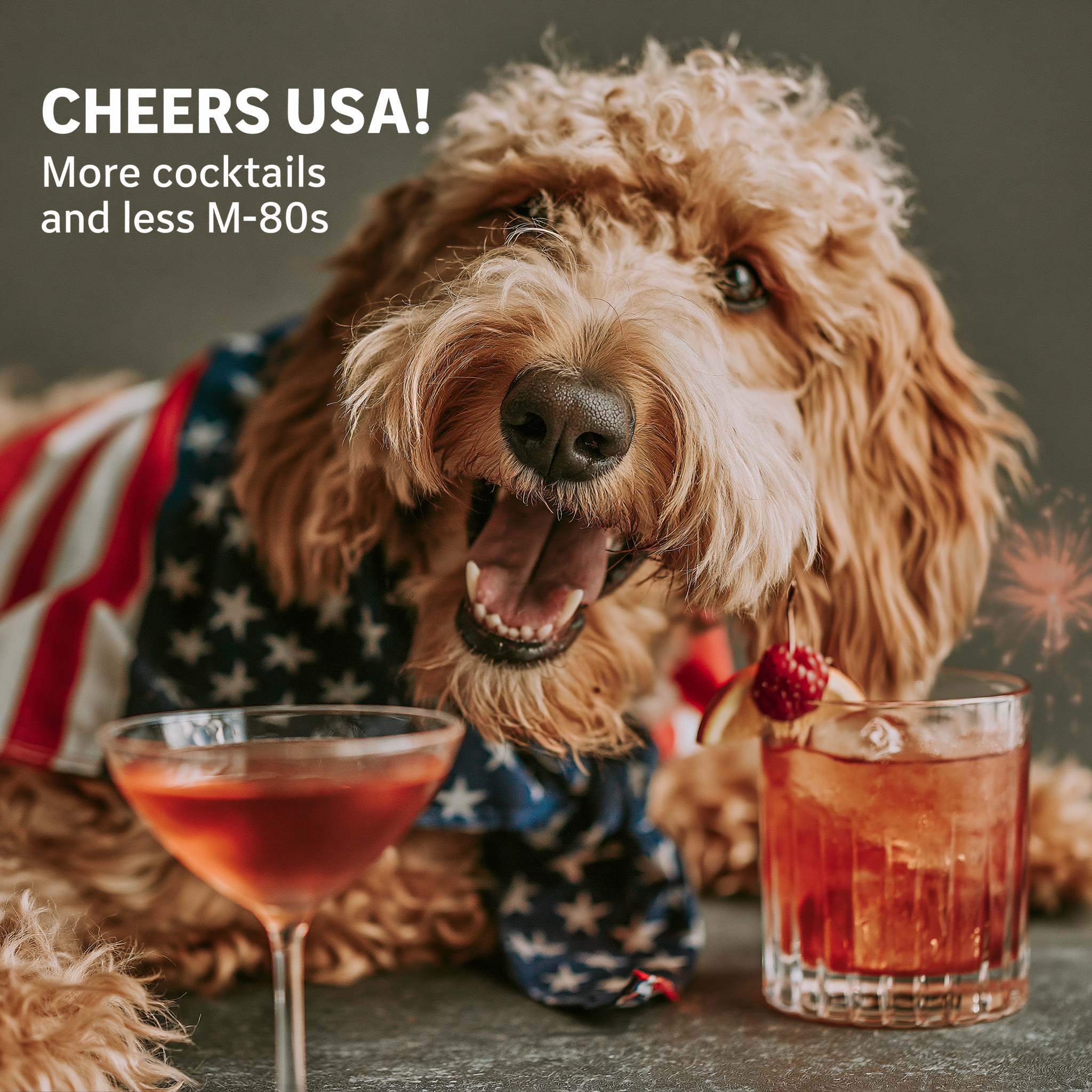 Fancy Pet Tails | July 4th Dog Collection — Custom Pet Art Apparel