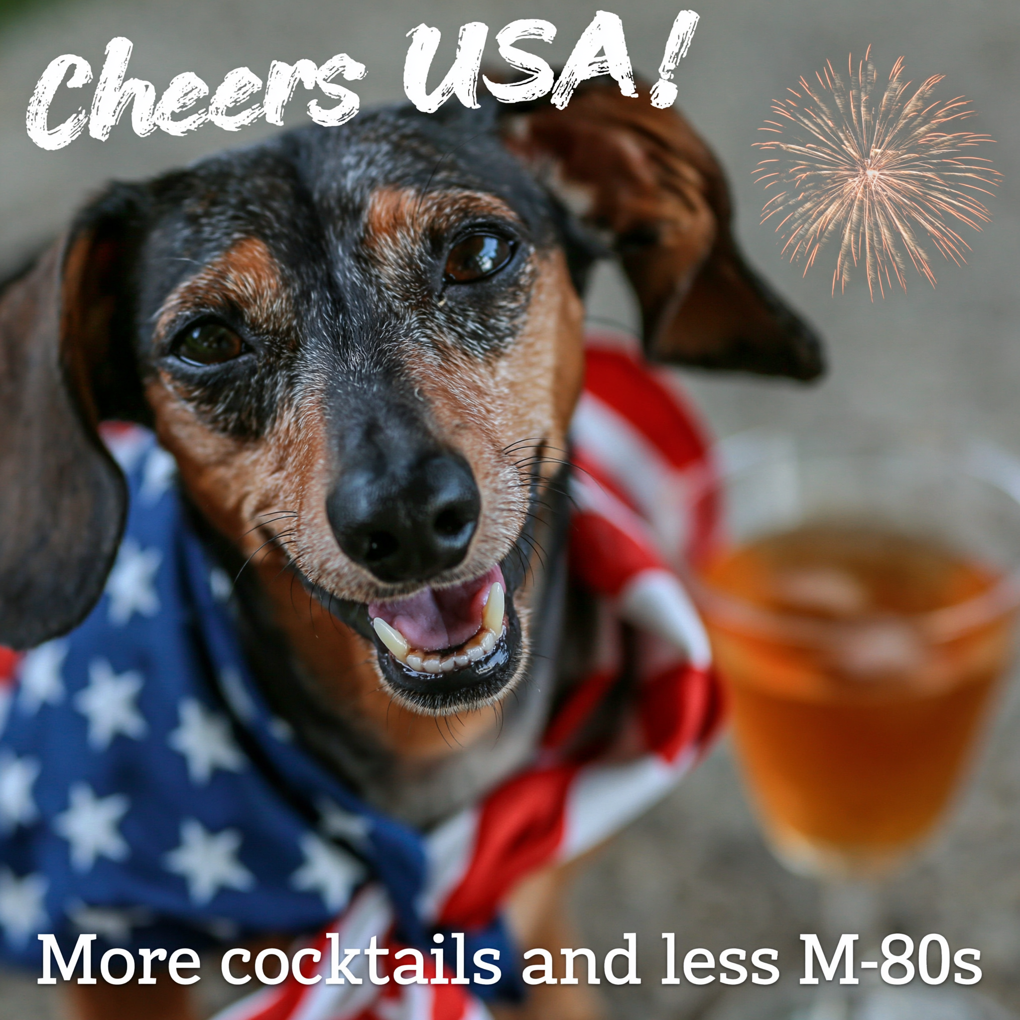 Fancy Pet Tails | July 4th Dog Collection — Custom Pet Art Apparel