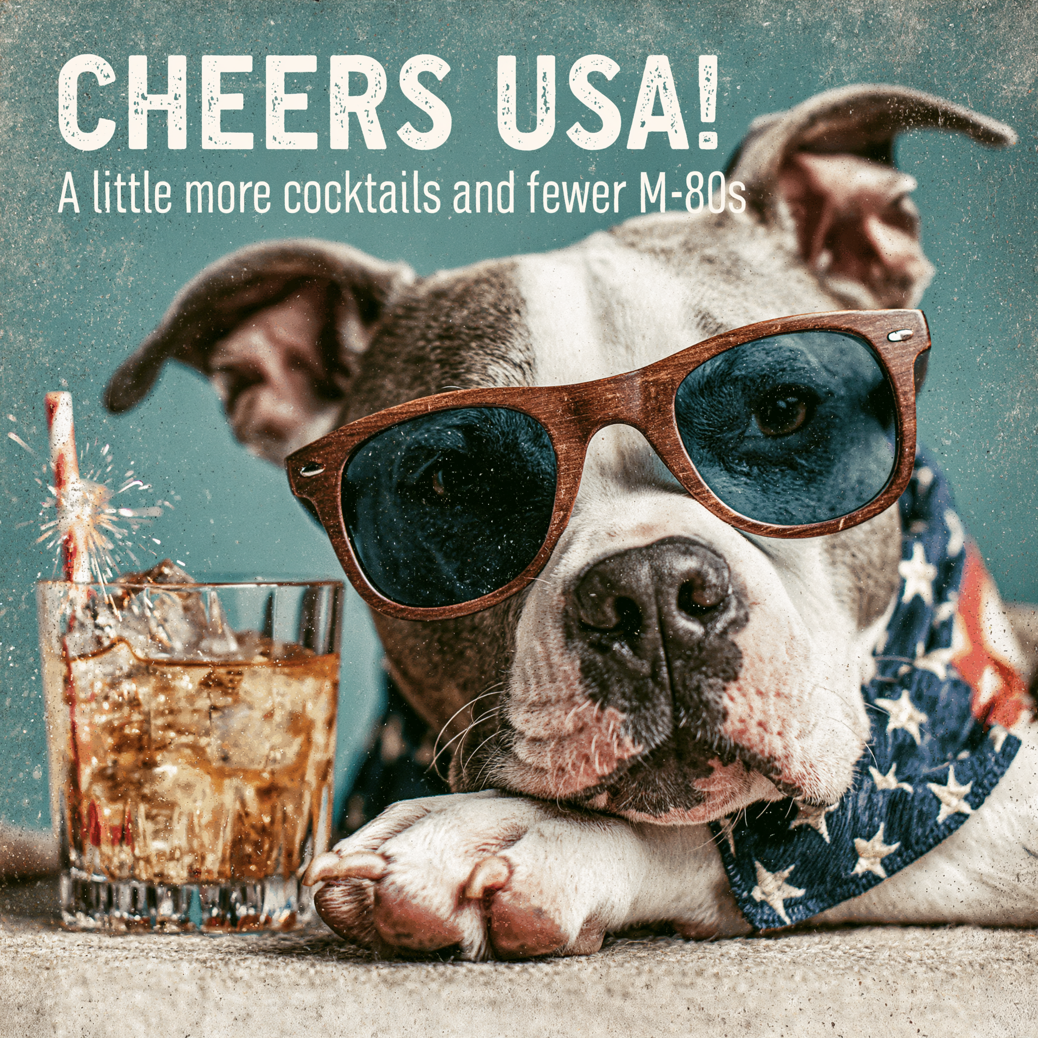 Fancy Pet Tails | July 4th Dog Collection — Custom Pet Art Apparel